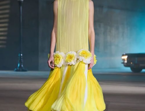 DIOR Cruise 2027 – Hollywood Dreams